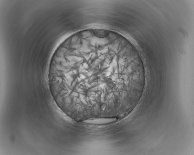 X0000111011248200907060949