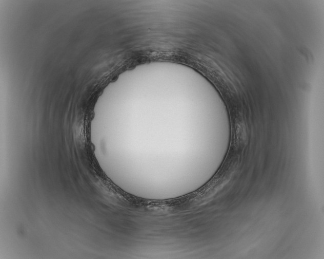 X0000111011250200907060948