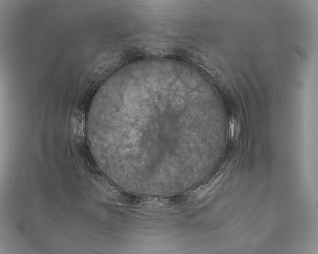 X0000111011251200907060948