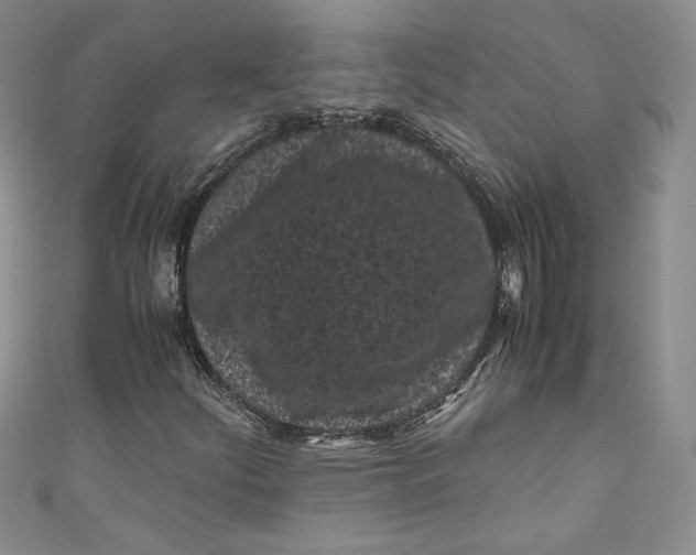 X0000111011252200907060948