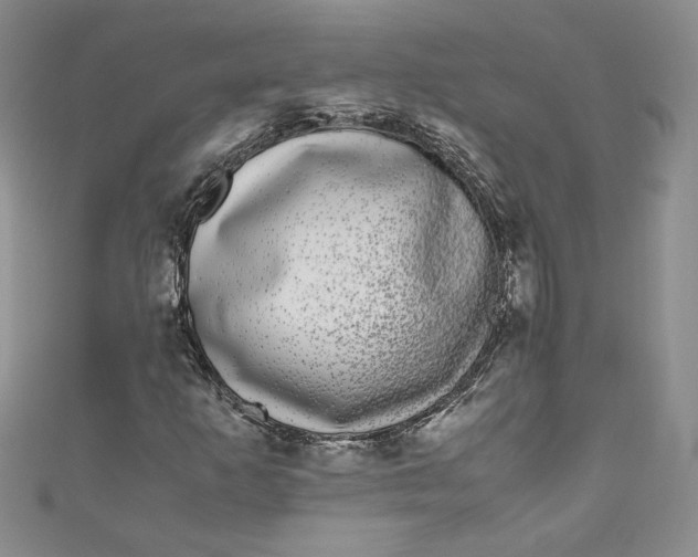 X0000111011253200907060948