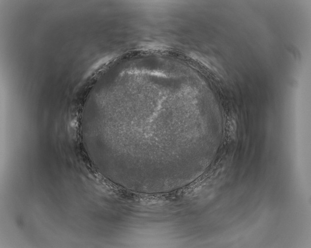 X0000111011254200907060948