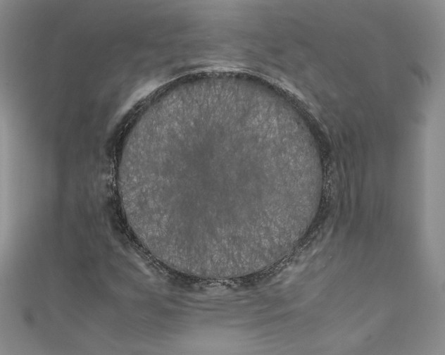X0000111011255200907060948
