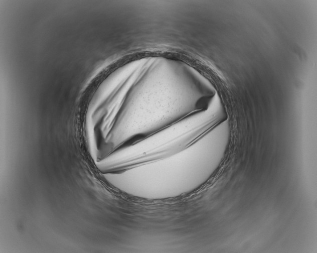 X0000111011256200907060948
