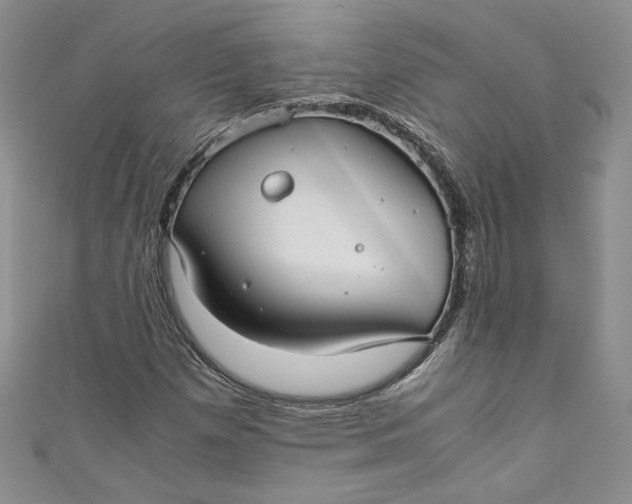 X0000111011257200907060948