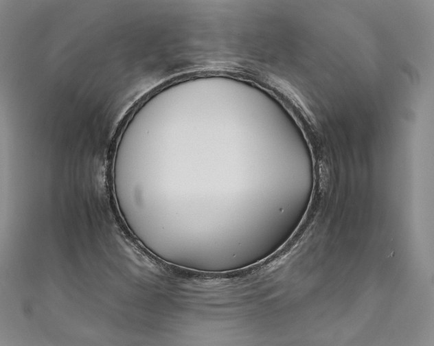 X0000111011260200907060948