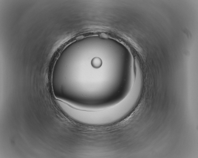 X0000111011261200907060948