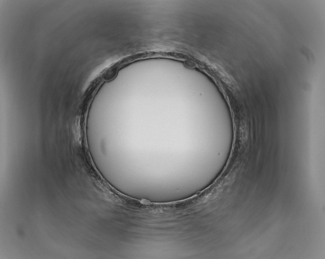 X0000111011262200907060948