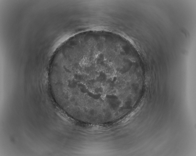 X0000111011263200907060948