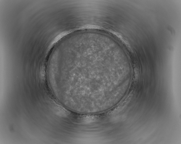 X0000111011266200907060948