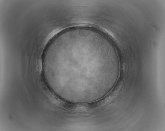 X0000111011267200907060948
