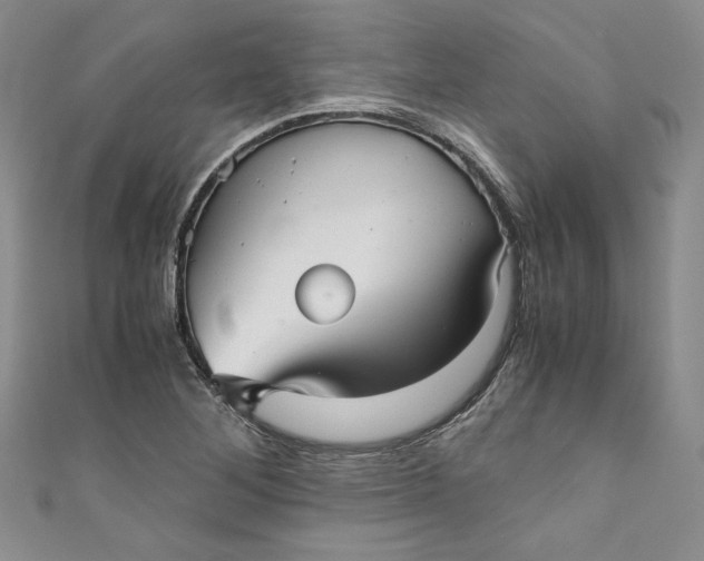 X0000111011268200907060948