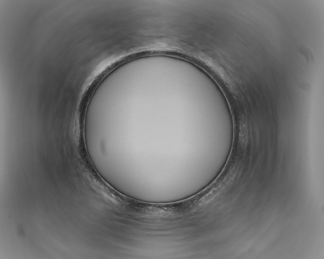 X0000111011270200907060948