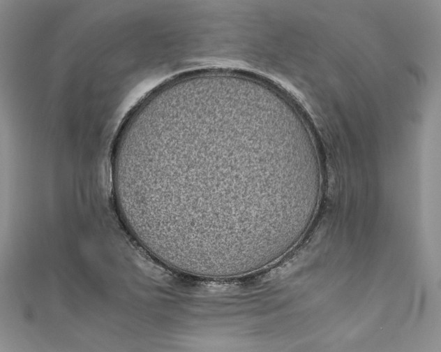 X0000111011271200907060948