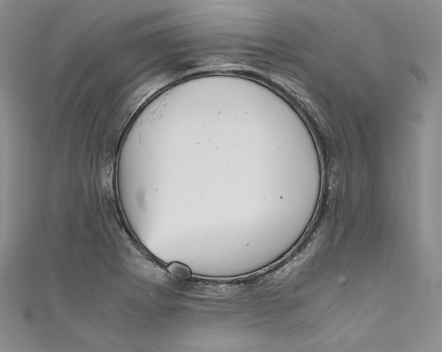 X0000111011273200907060948