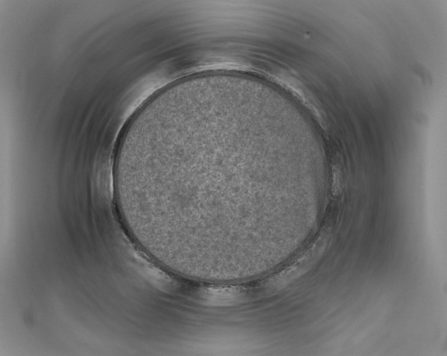 X0000111011274200907060948