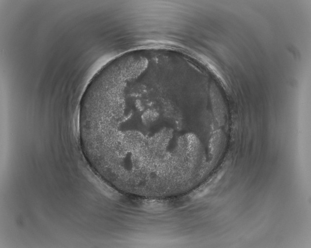 X0000111011275200907060948