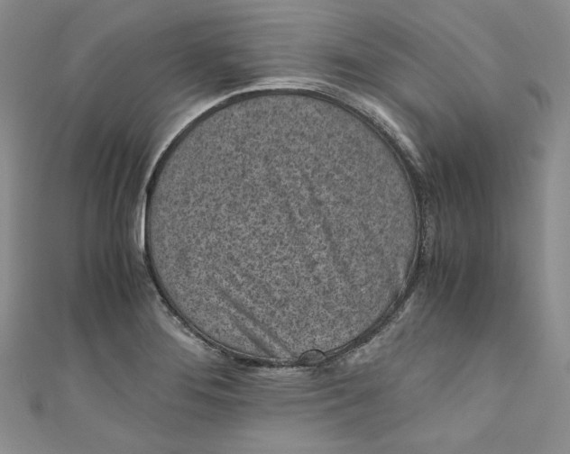 X0000111011276200907060948