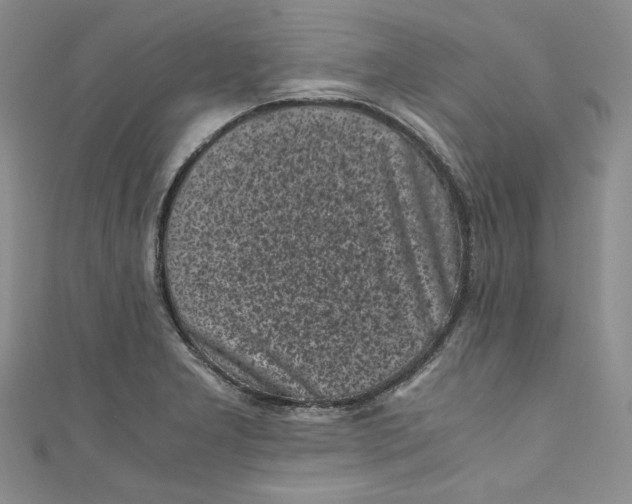 X0000111011277200907060948