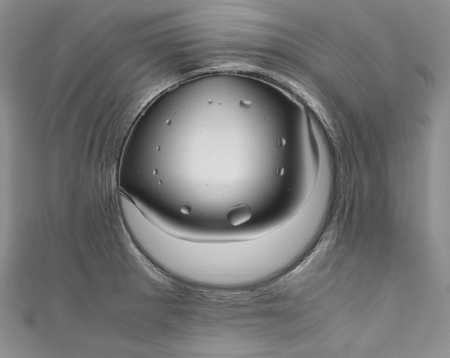 X0000111011281200907060948