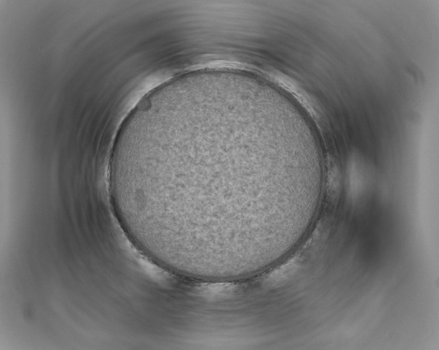 X0000111011282200907060948