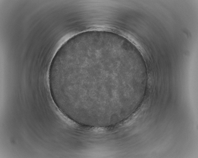 X0000111011283200907060948