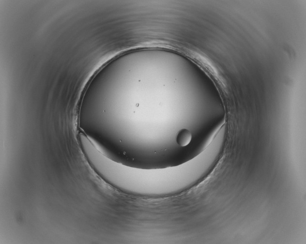 X0000111011284200907060948