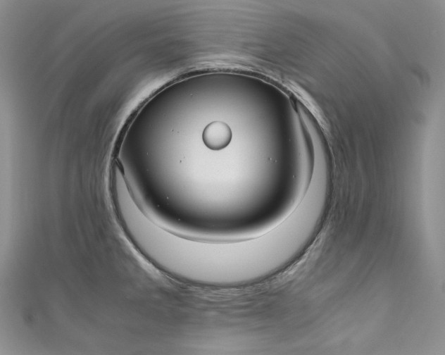 X0000111011285200907060948