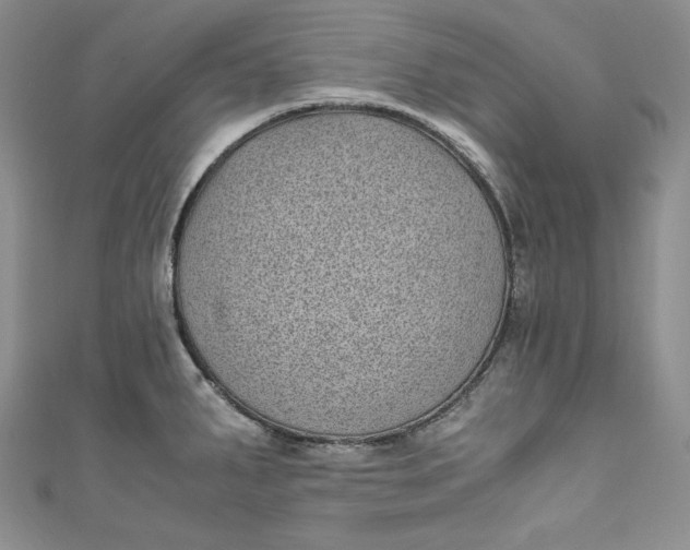 X0000111011287200907060948