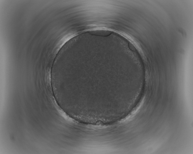 X0000111011289200907060948
