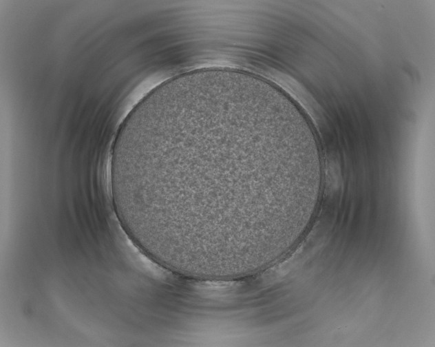 X0000111011290200907060948