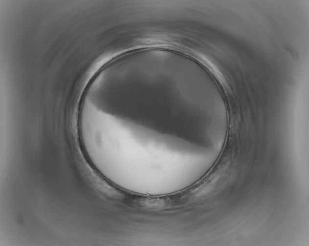X0000111011291200907060948