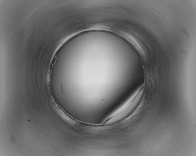 X0000111011292200907060948