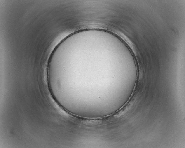 X0000111011293200907060948