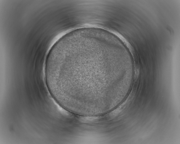 X0000111011294200907060948