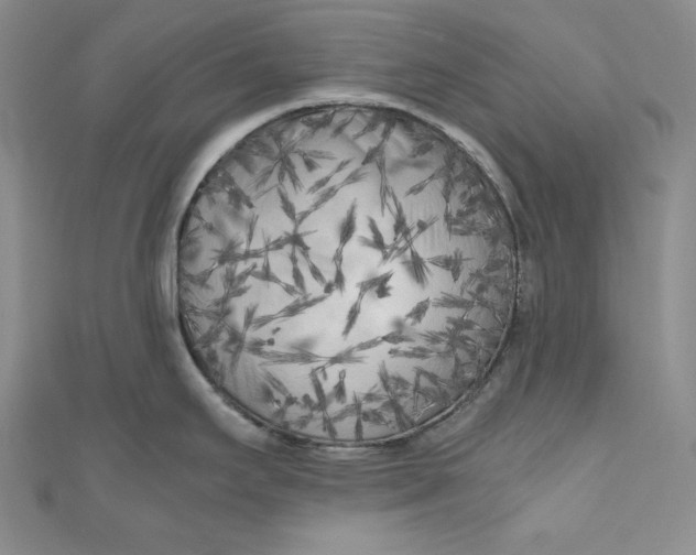 X0000111011295200907060948