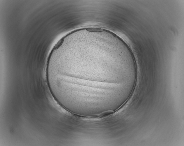 X0000111011296200907060948