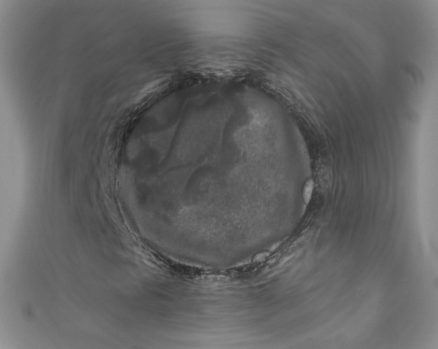 X0000111011297200907060947
