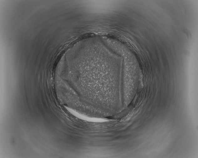 X0000111011298200907060947