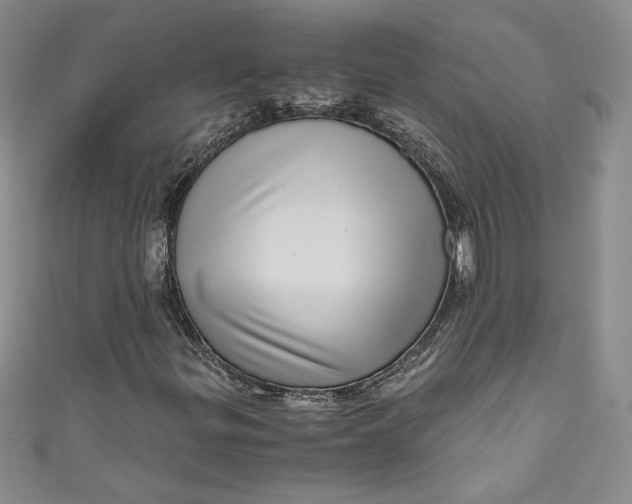 X0000111011299200907060947