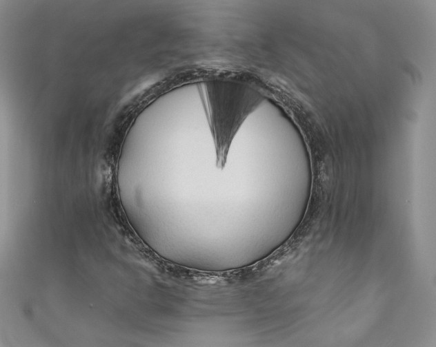 X0000111011302200907060947
