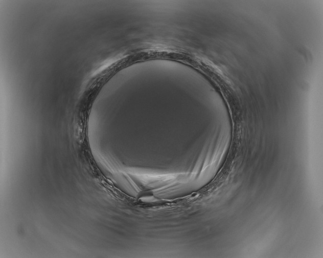 X0000111011303200907060947