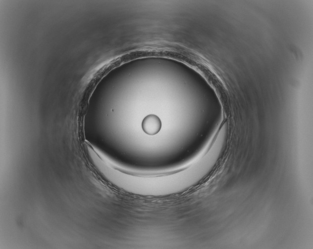 X0000111011304200907060947