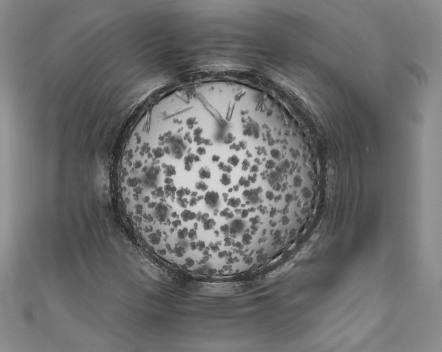 X0000111011305200907060947