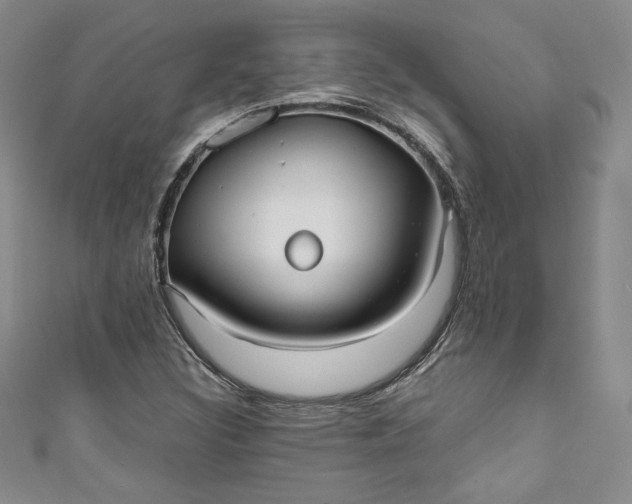 X0000111011308200907060947