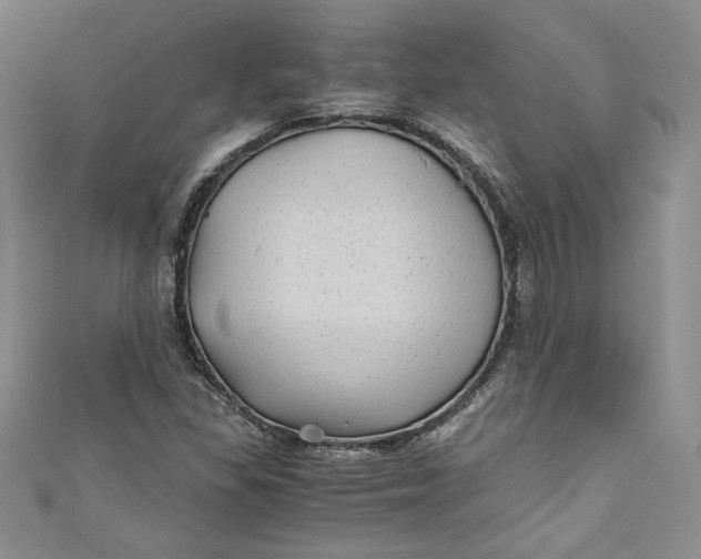 X0000111011309200907060947