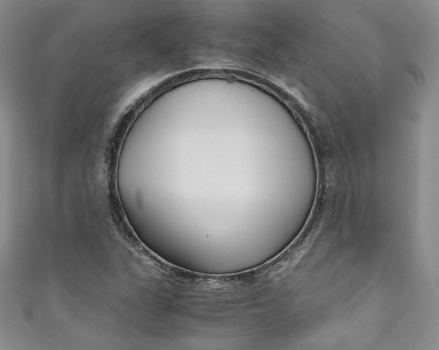 X0000111011311200907060947