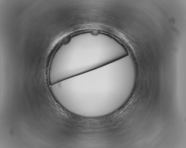 X0000111011312200907060947