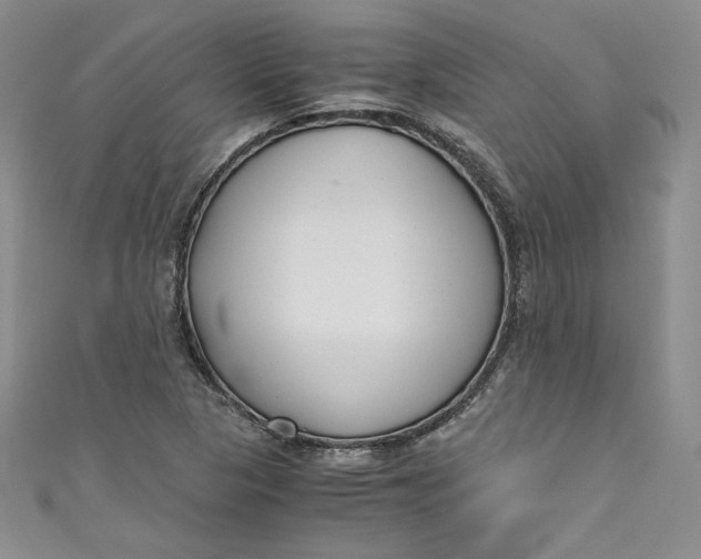 X0000111011313200907060947