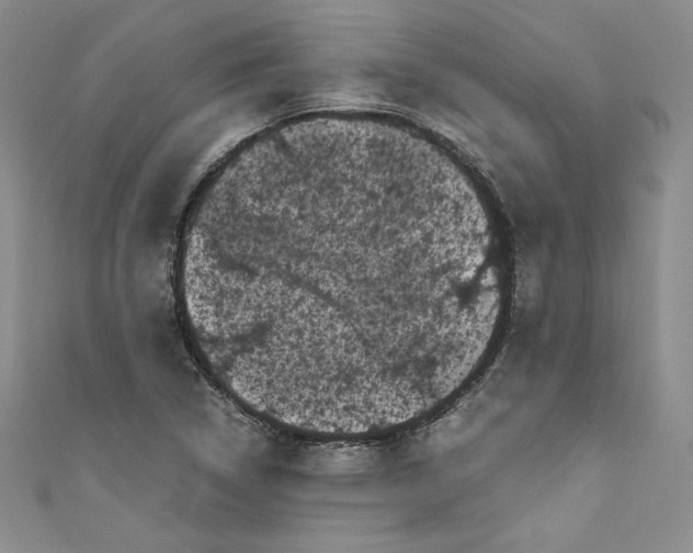 X0000111011314200907060947